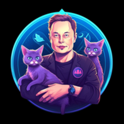 Cat of ELON